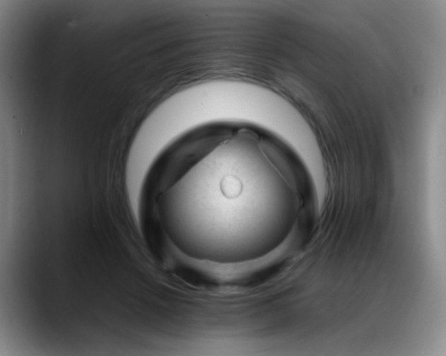X0000089450456200706151435