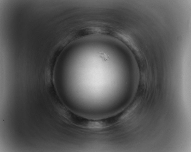 X0000089450457200706151435