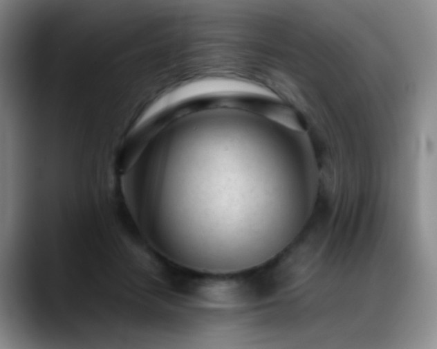 X0000089450458200706151435