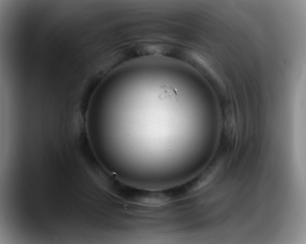 X0000089450459200706151435