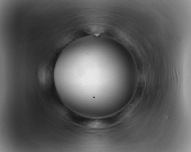 X0000089450460200706151435