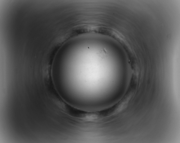 X0000089450462200706151435