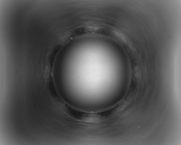 X0000089450463200706151435