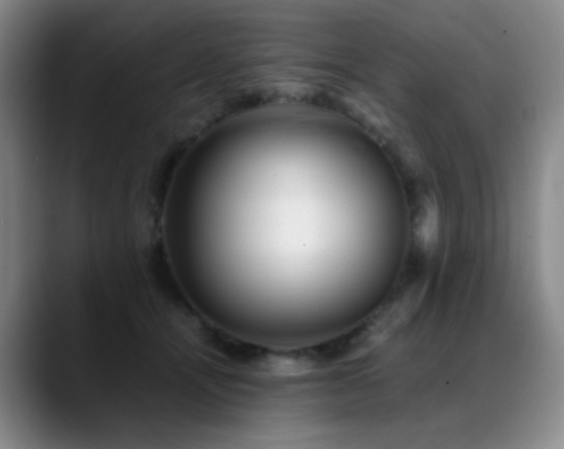 X0000089450464200706151435