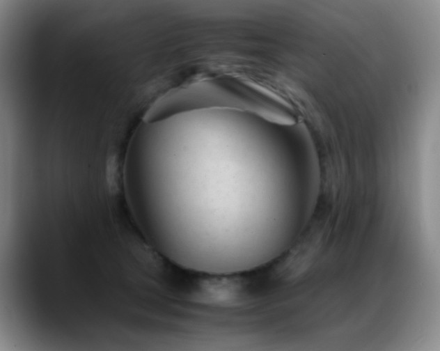 X0000089450465200706151435