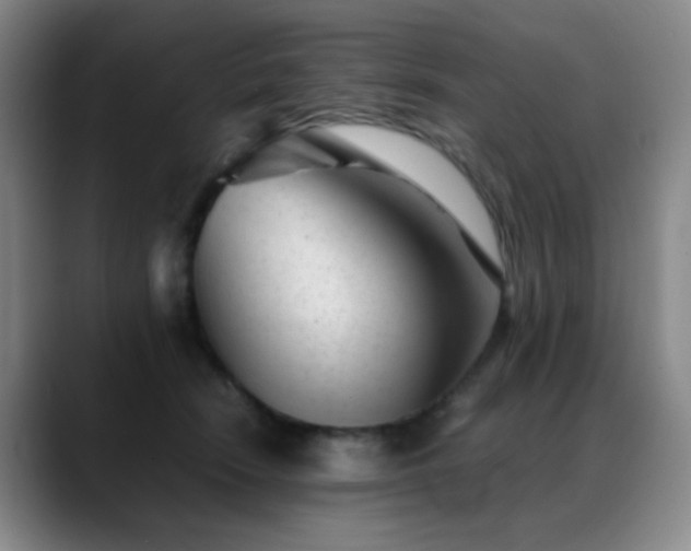 X0000089450466200706151435
