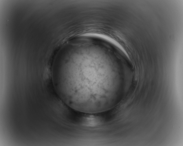 X0000089450467200706151435
