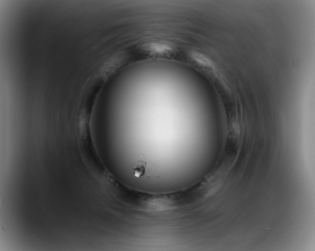 X0000089450468200706151435