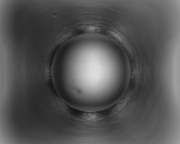 X0000089450469200706151435