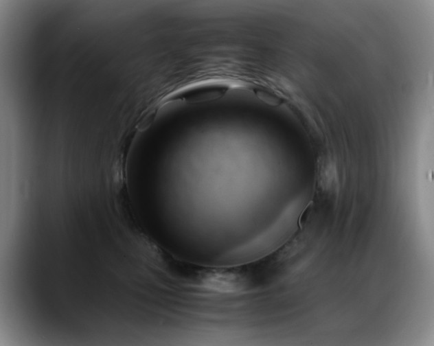 X0000089450471200706151435