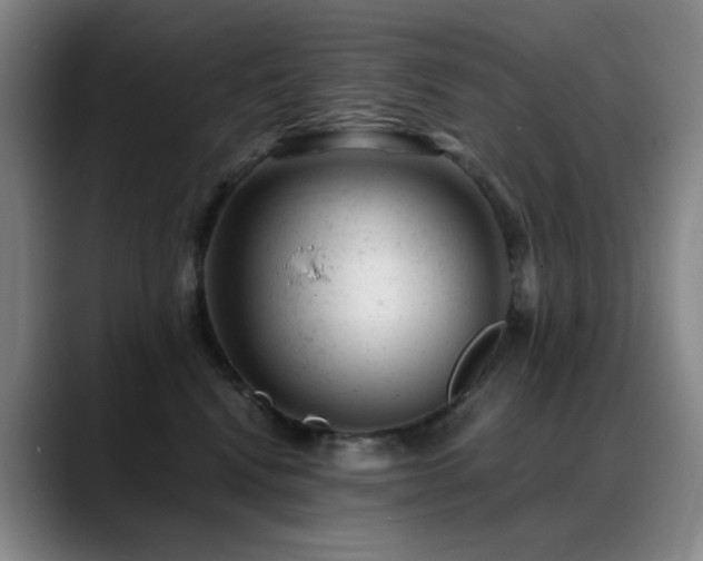 X0000089450472200706151435