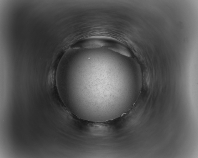 X0000089450475200706151435