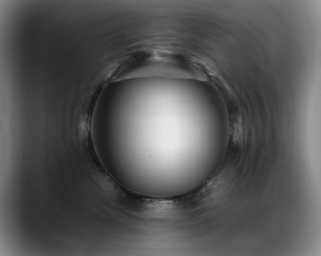 X0000089450476200706151435