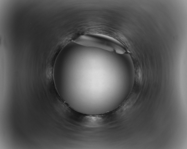 X0000089450477200706151435