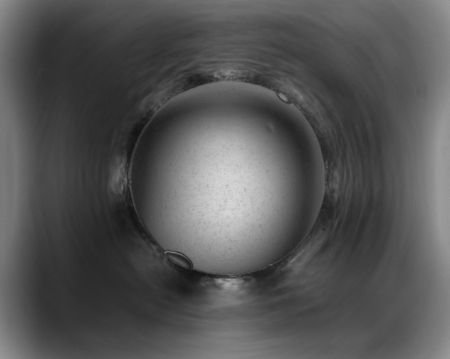 X0000089450478200706151435