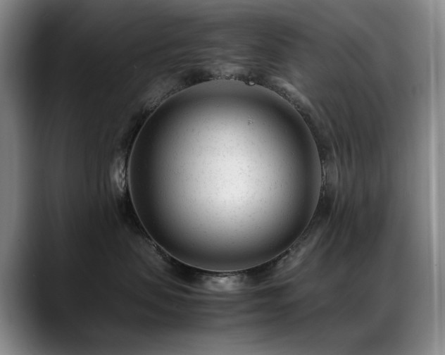 X0000089450479200706151435