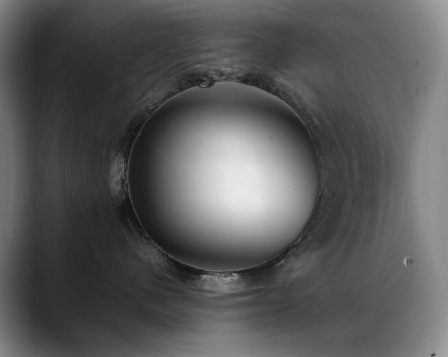 X0000089450480200706151435