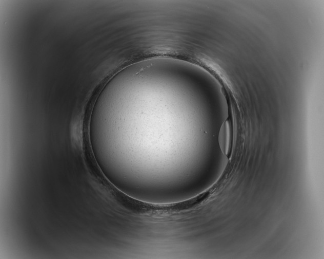 X0000089450482200706151434