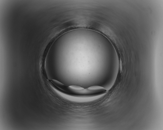X0000089450483200706151434