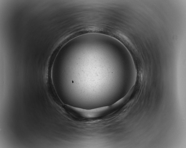 X0000089450484200706151434
