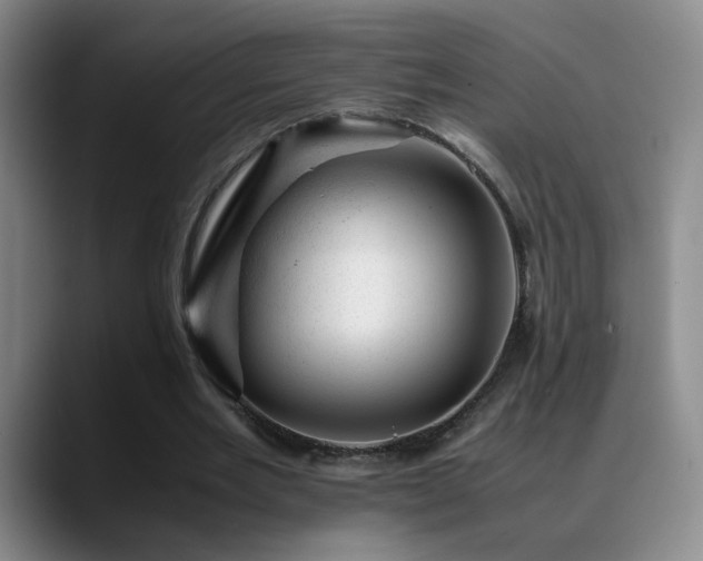X0000089450485200706151434