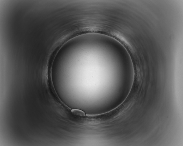 X0000089450486200706151434