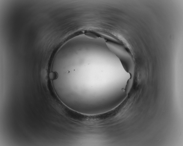 X0000089450487200706151434