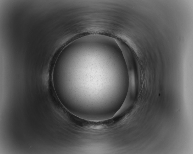 X0000089450488200706151434