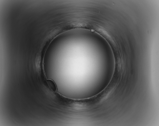 X0000089450490200706151434