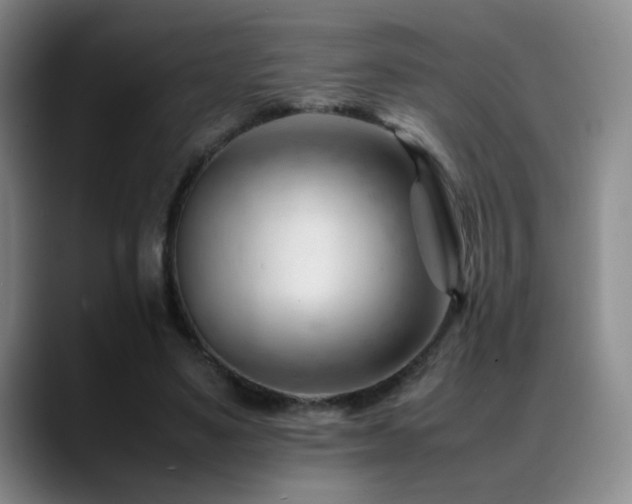 X0000089450491200706151434