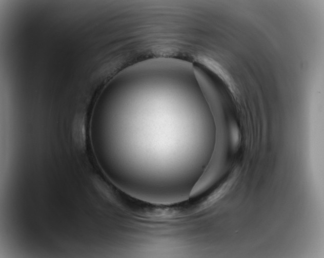 X0000089450493200706151434