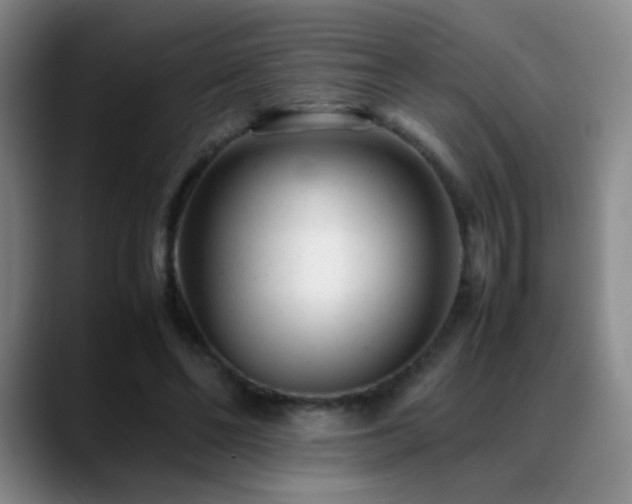 X0000089450494200706151434