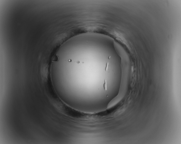 X0000089450495200706151434