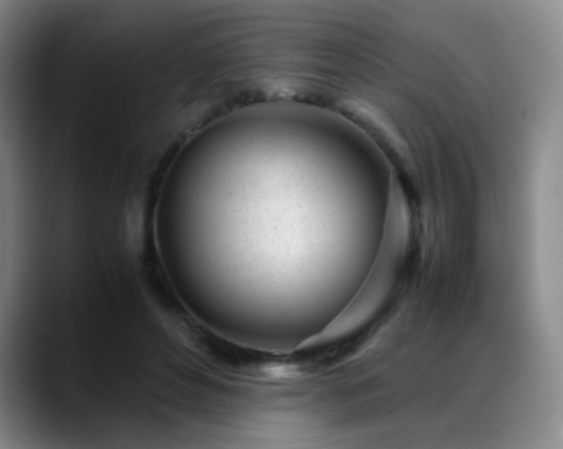 X0000089450496200706151434