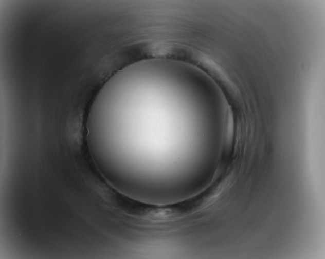 X0000089450497200706151434