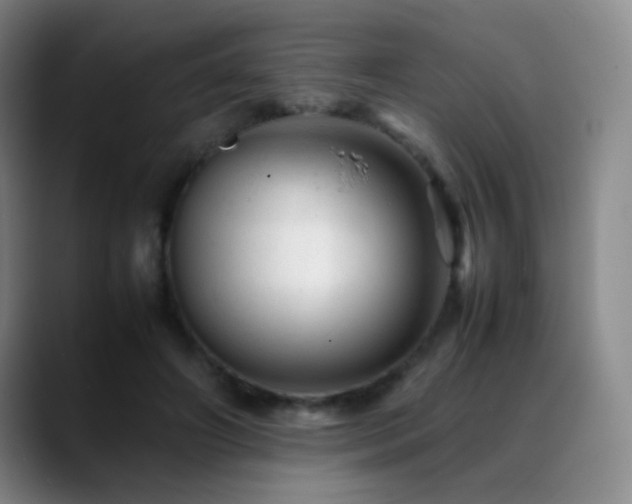 X0000089450498200706151434