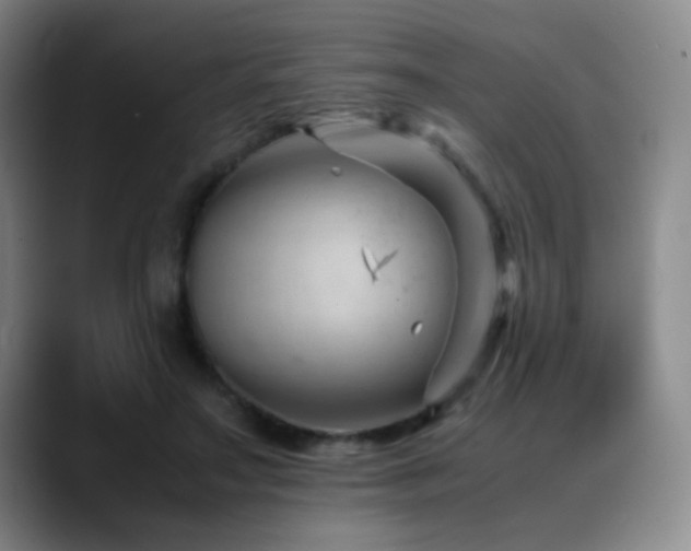 X0000089450499200706151434