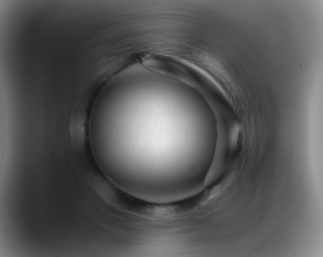 X0000089450501200706151434