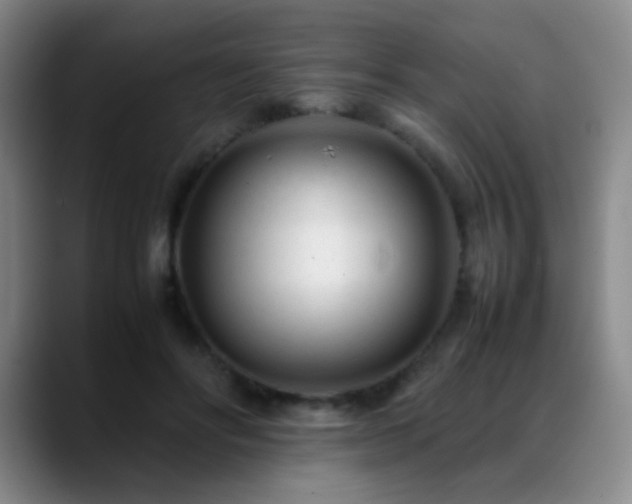 X0000089450502200706151434