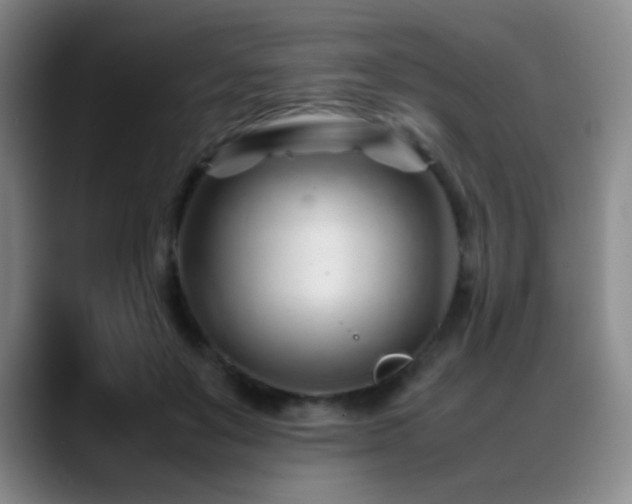 X0000089450503200706151434