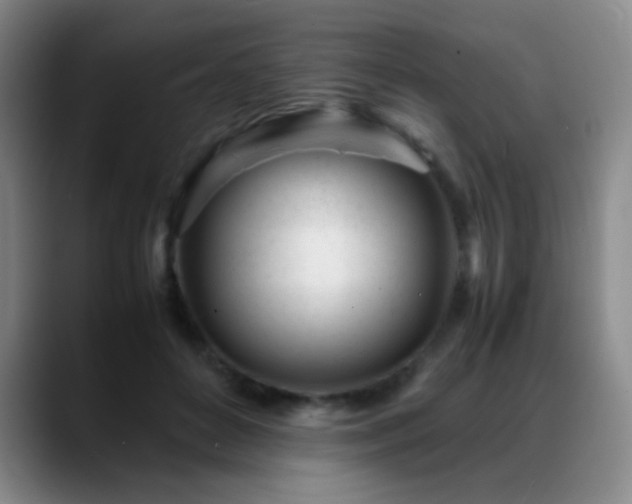 X0000089450504200706151434