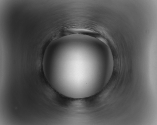 X0000089450505200706151434