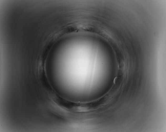 X0000089450506200706151434