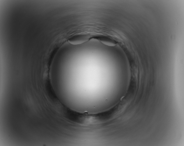 X0000089450507200706151434