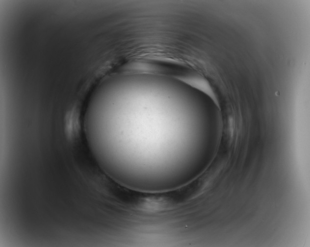 X0000089450508200706151434