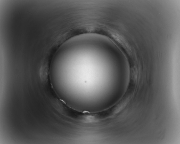 X0000089450509200706151434