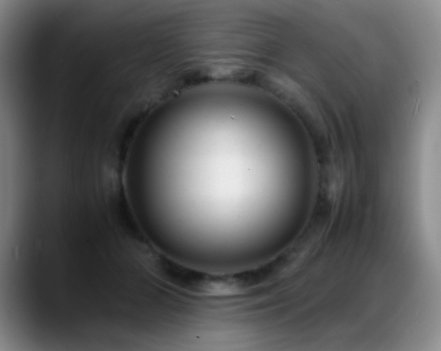 X0000089450510200706151434