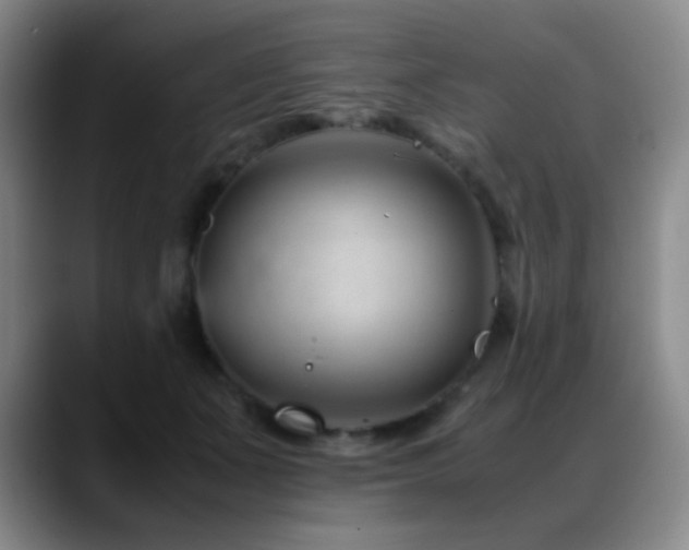 X0000089450511200706151434