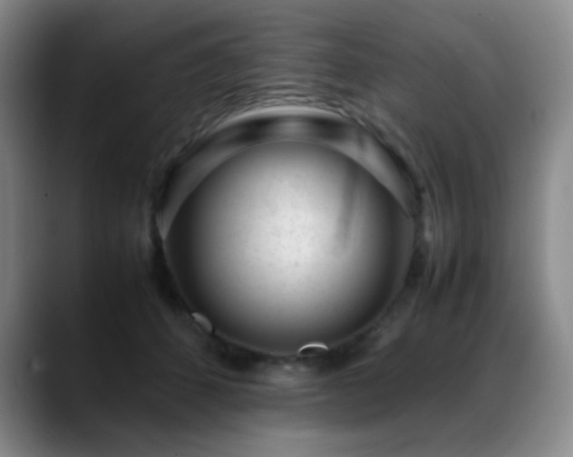 X0000089450512200706151434