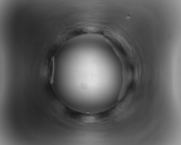 X0000089450513200706151434